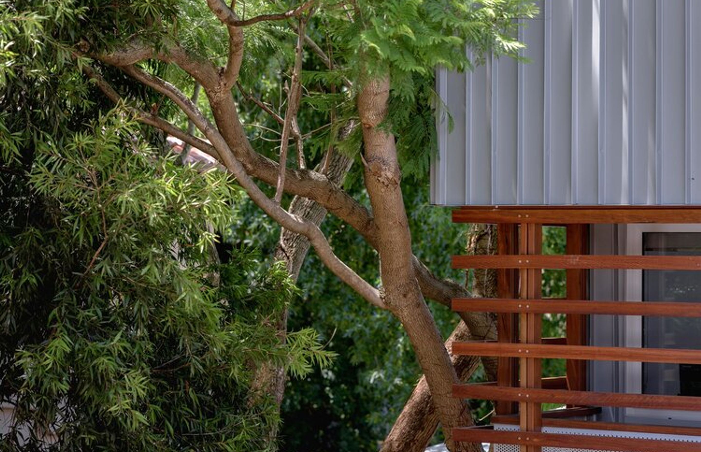 The Sydney Retreat