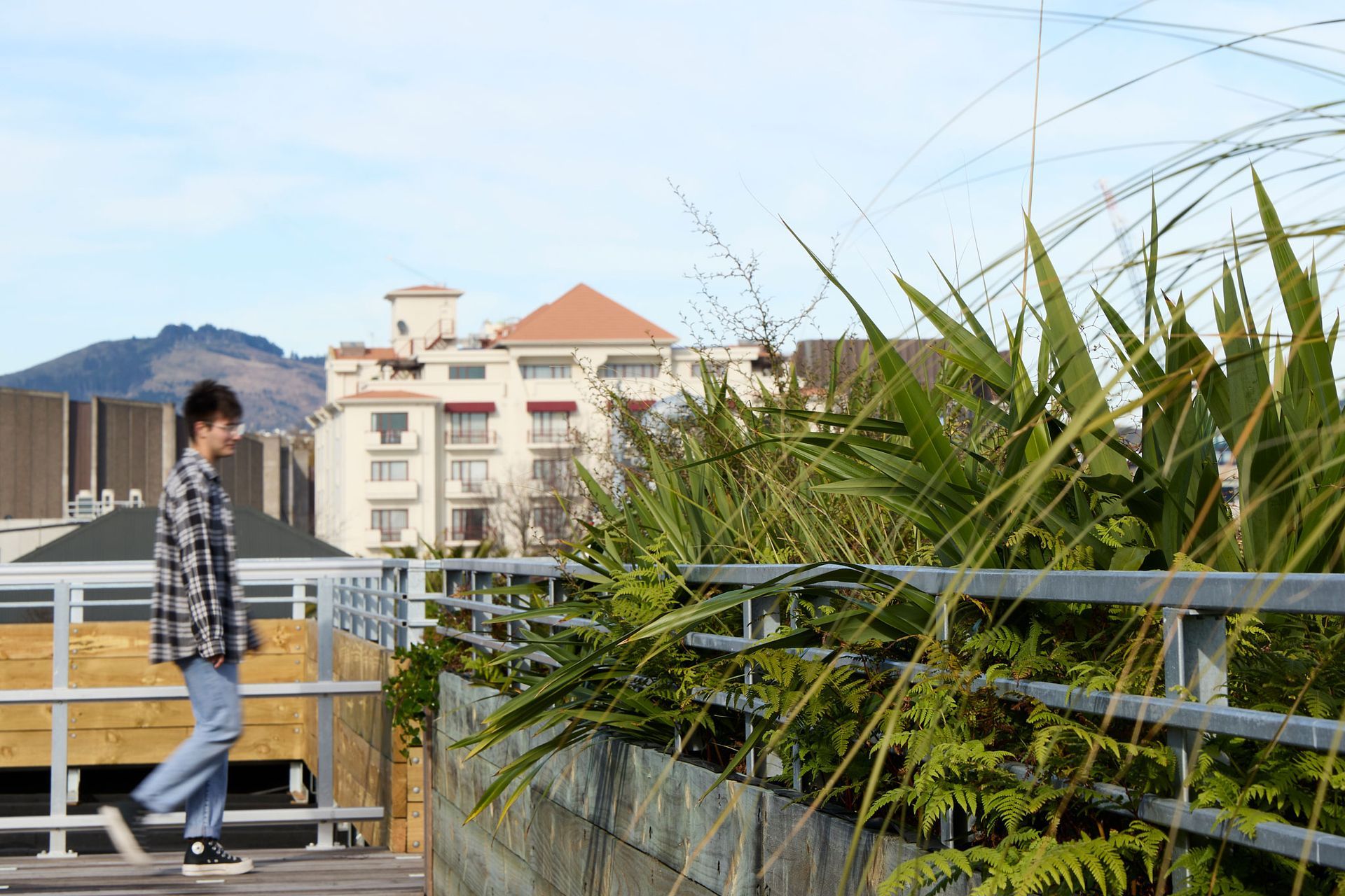 BotanicLandscape-ArchitectsCommunityYouthHub11.jpg
