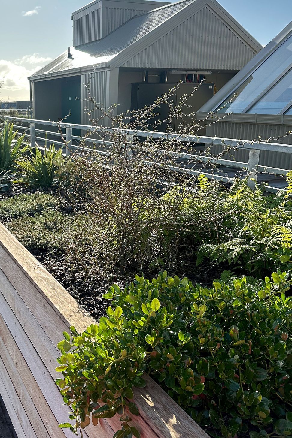 BotanicLandscape-ArchitectsCommunityYouthHub7.jpg
