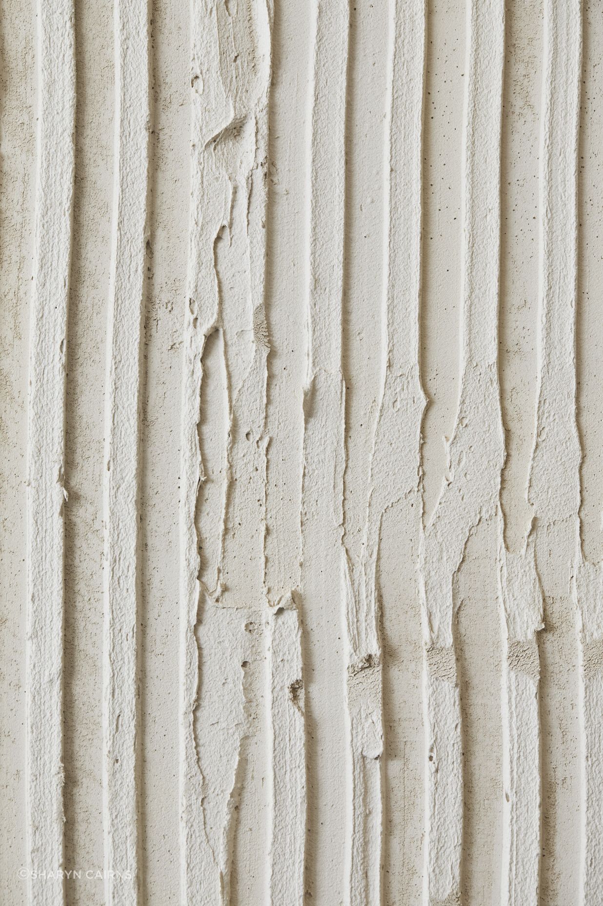 Seen Skin