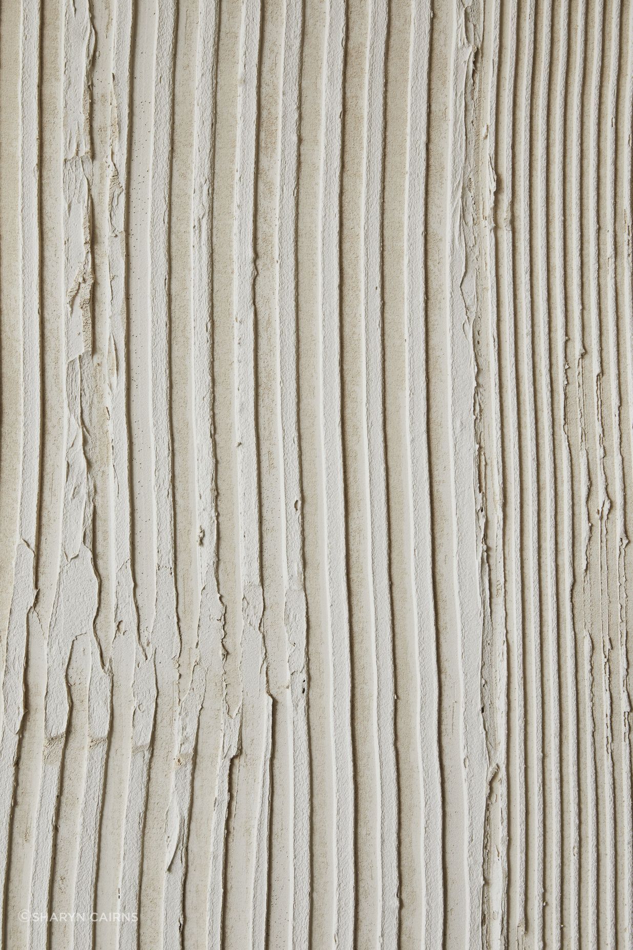 Seen Skin