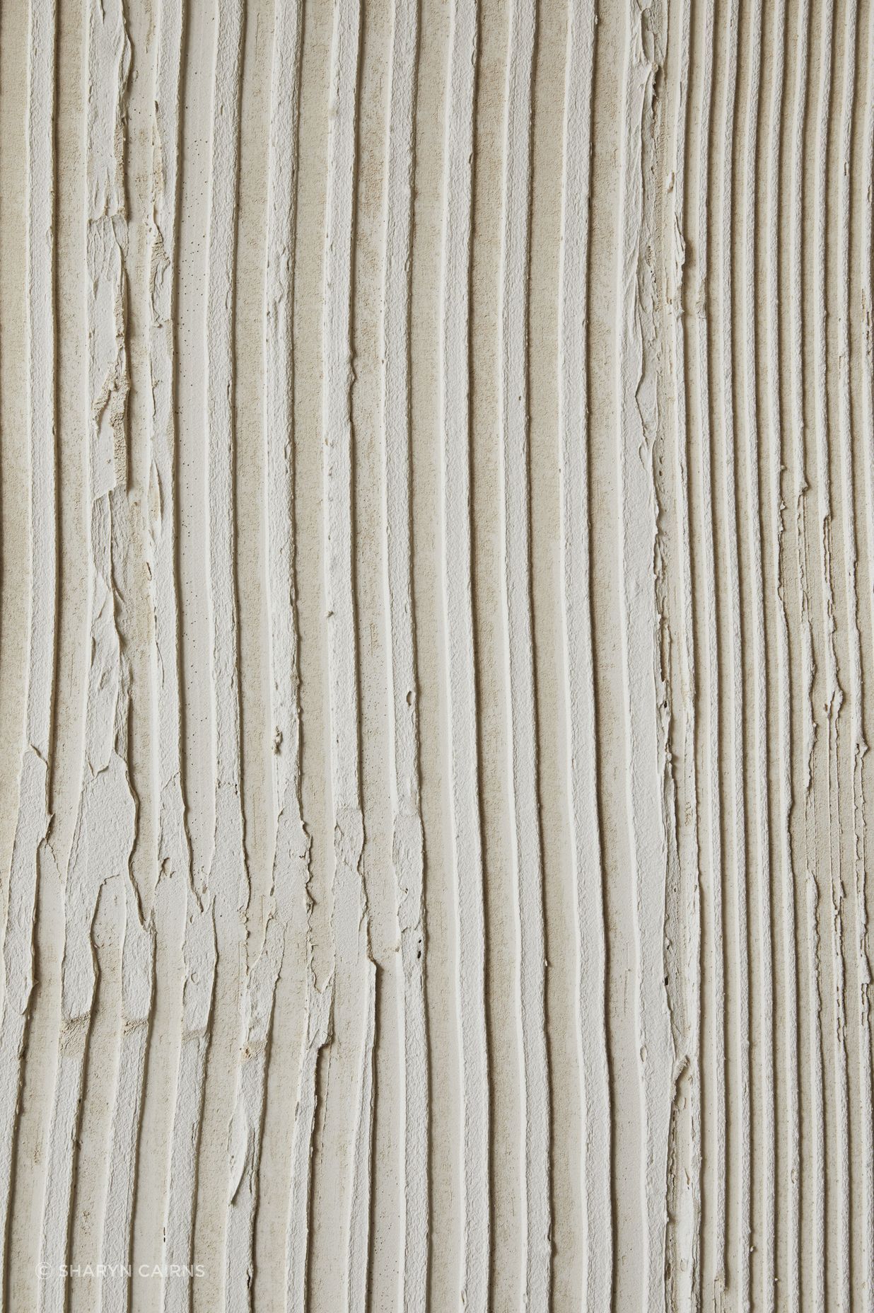 Seen Skin