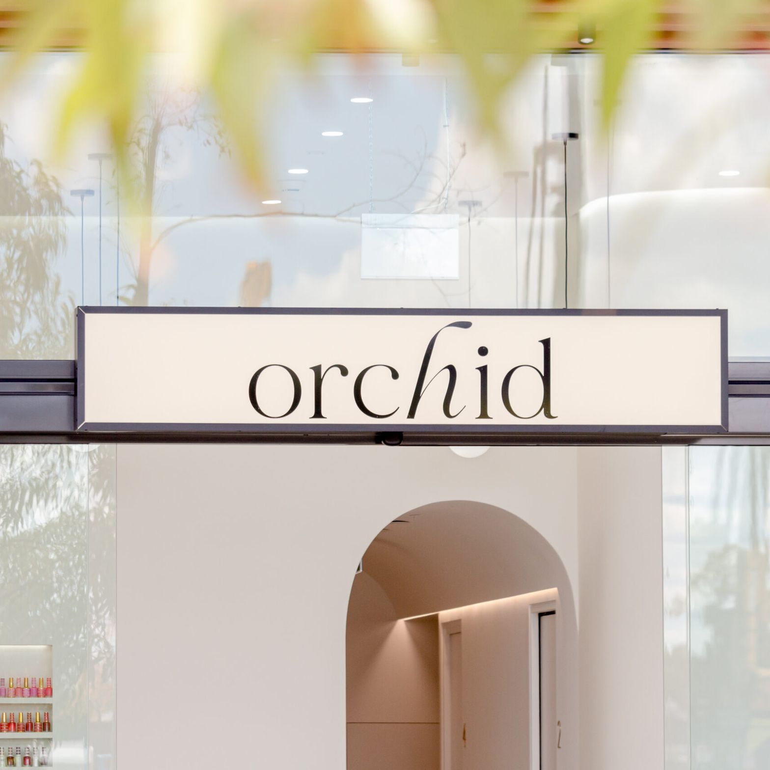 Orchid-Salon05.jpg