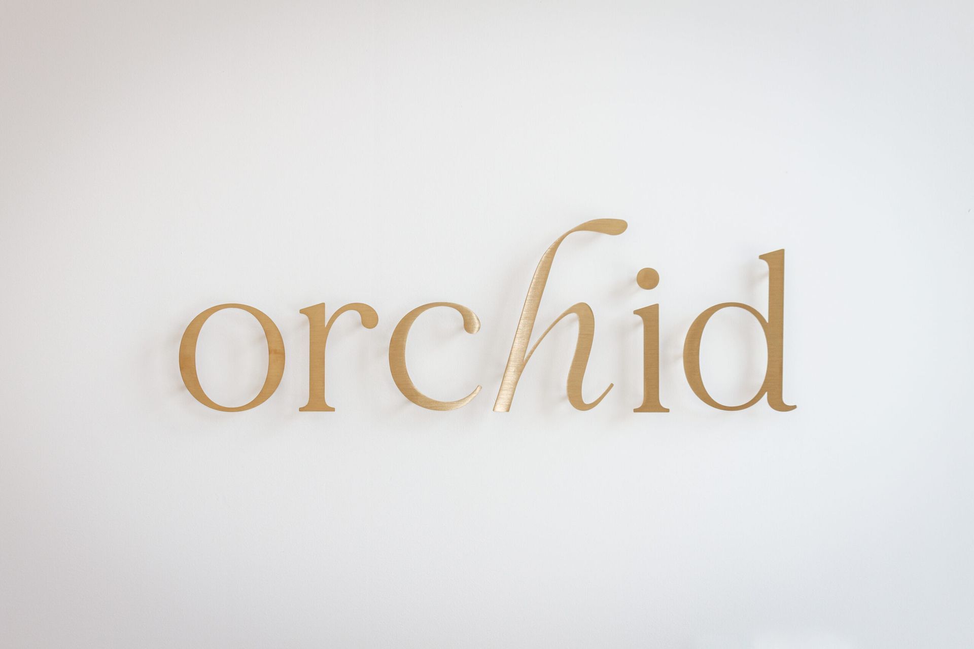 Orchid-Salon18.jpg