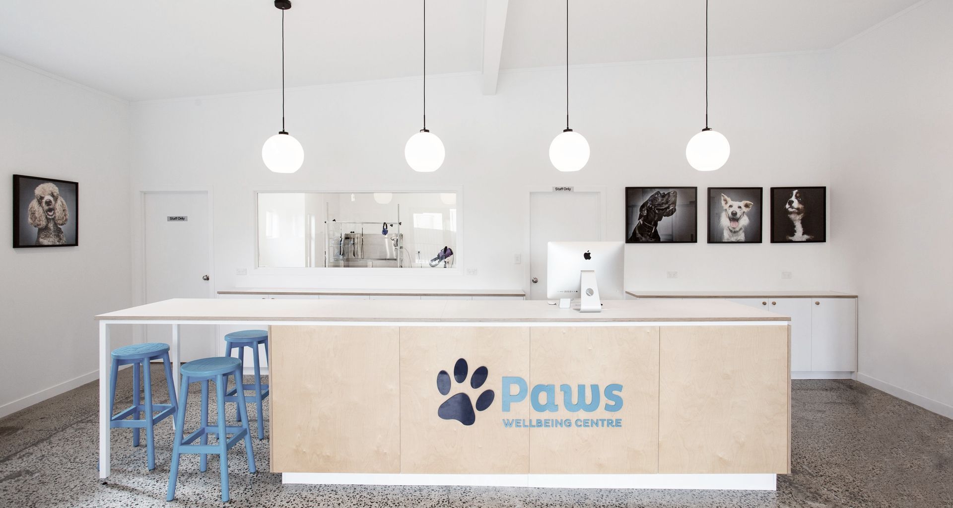 Paws Wellbeing Centre banner
