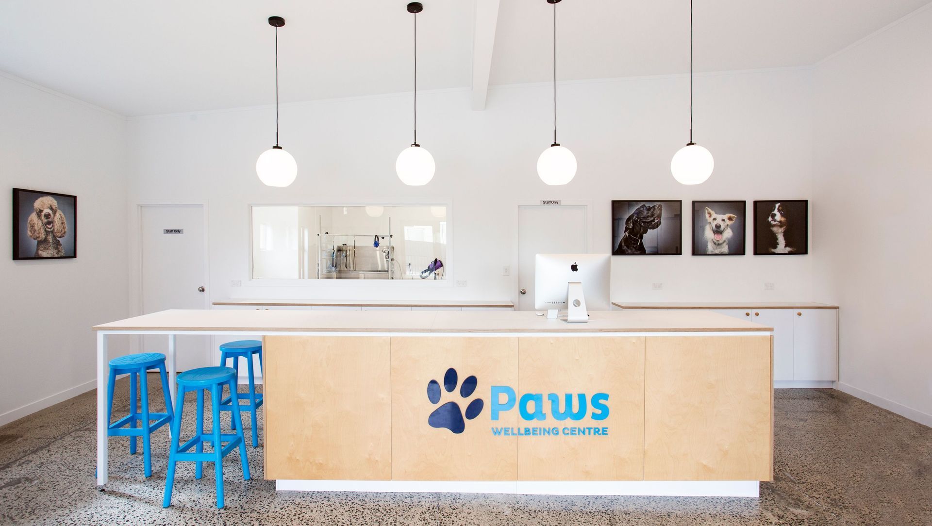 Paws Wellbeing Centre banner