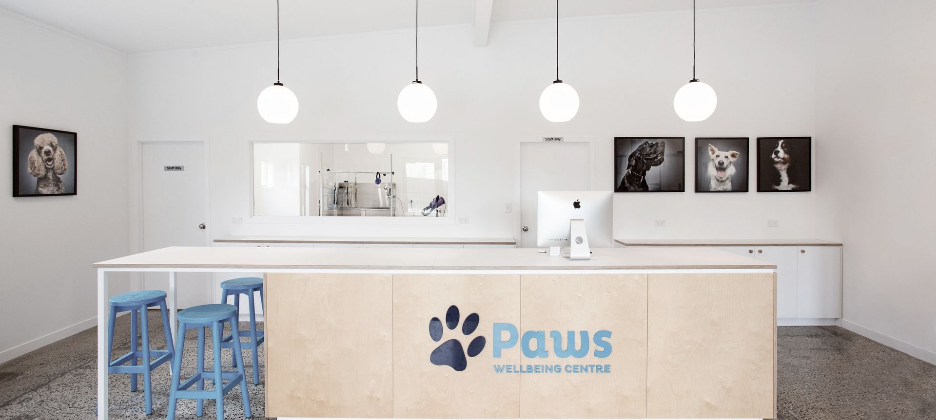 Paws Wellbeing Centre banner
