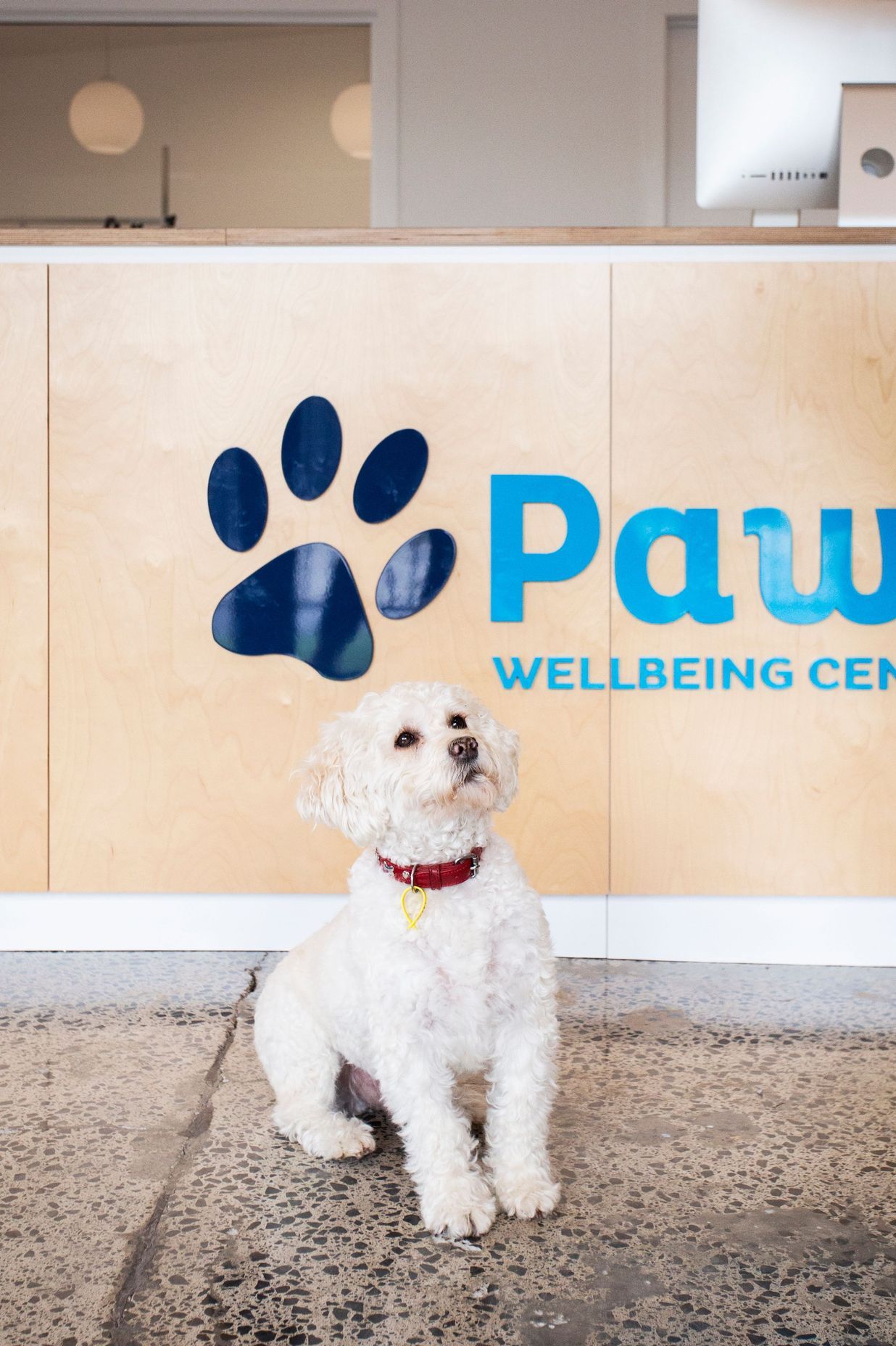 Paws Wellbeing Centre