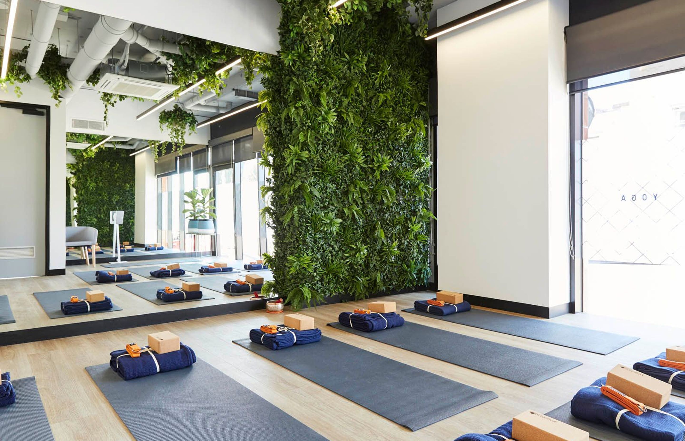 Upwell Health Collective