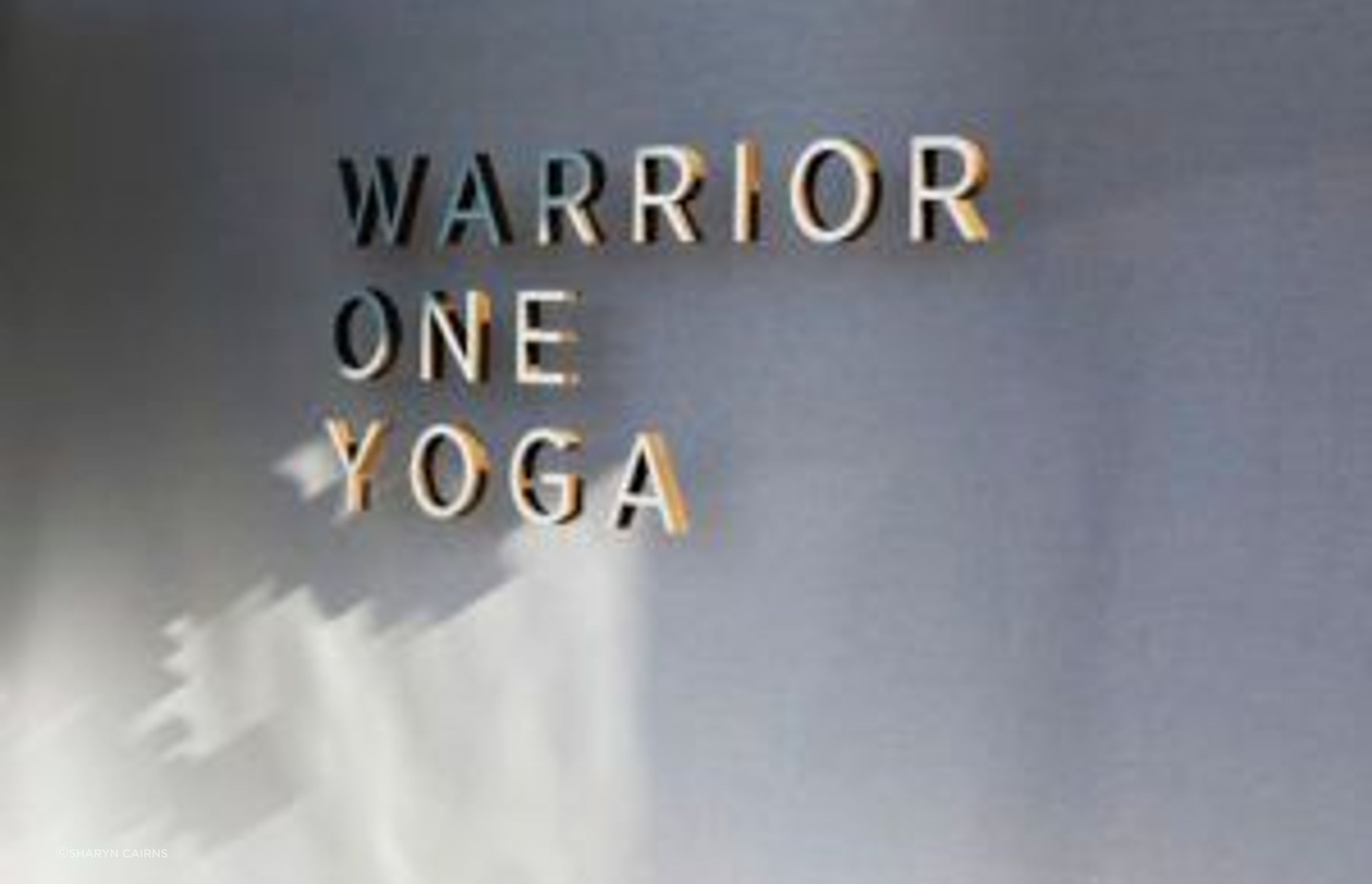 Warrior One