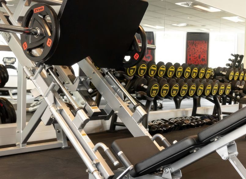 Zuru Gym | Auckland