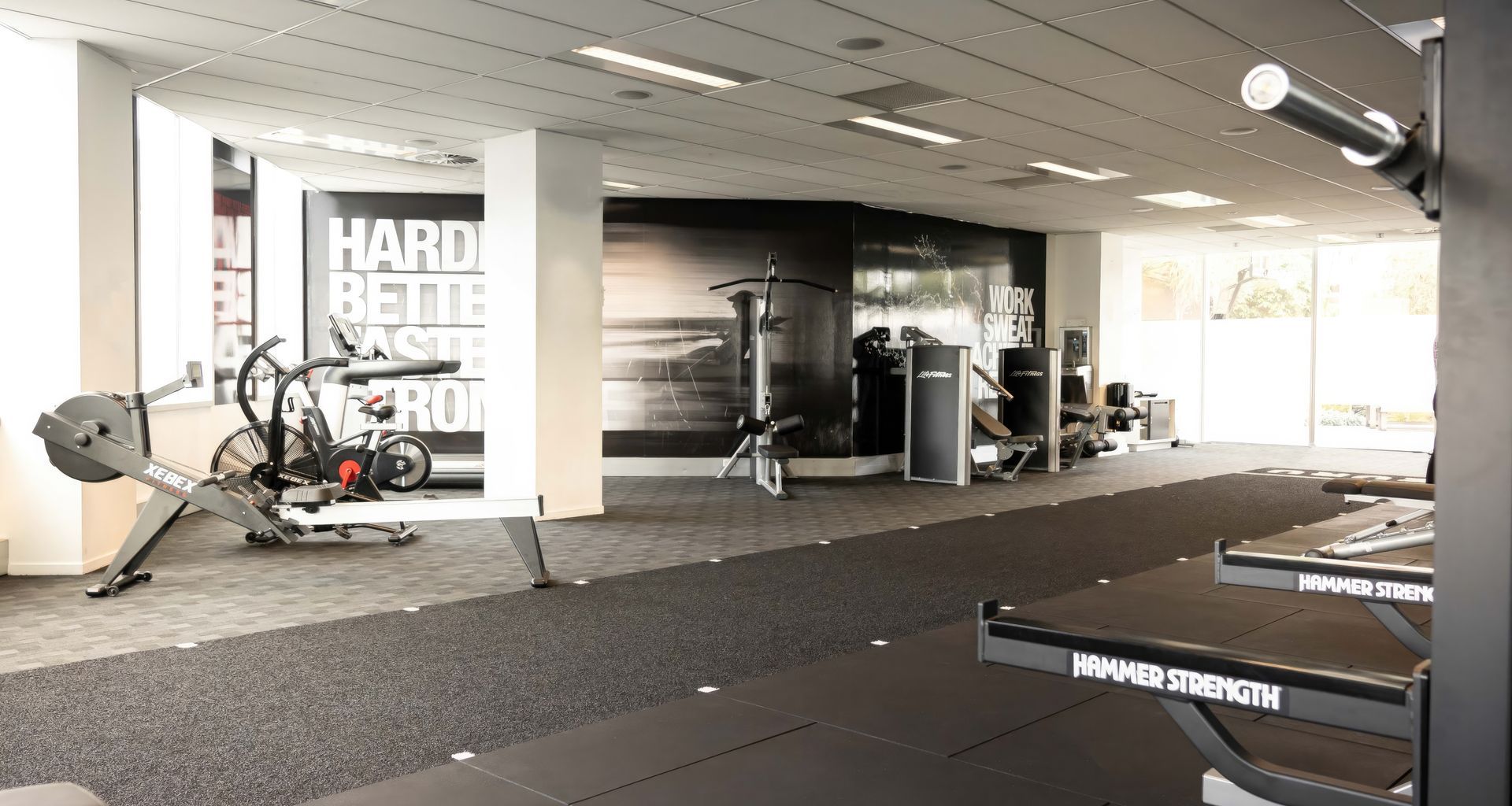 Zuru Gym | Auckland banner