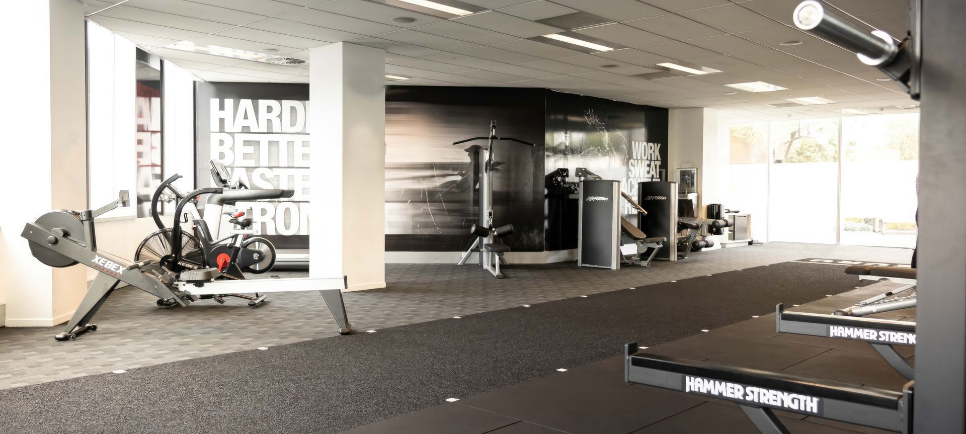 Zuru Gym | Auckland banner