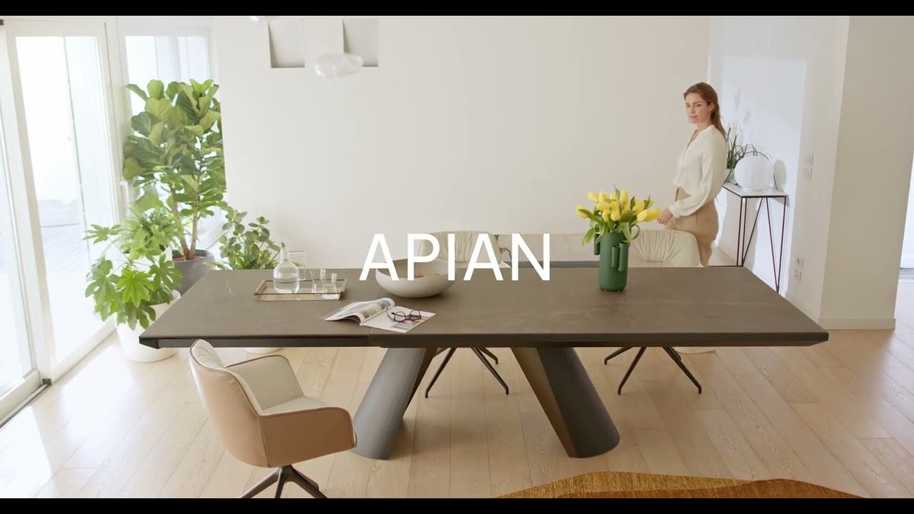 Apian Dining Table gallery detail image