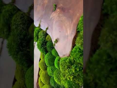 Round Moss Wall Art - Live Edge Wood gallery detail image