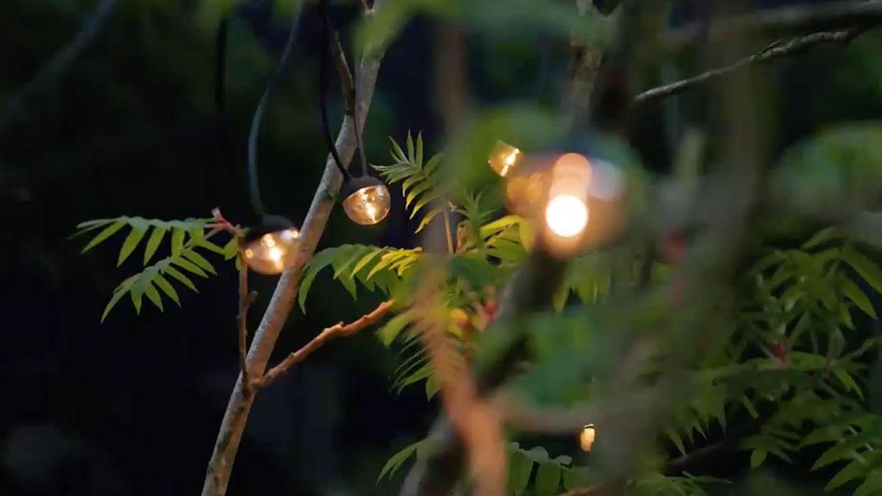 Cherry Bubbls Solar Festoon Lights gallery detail image