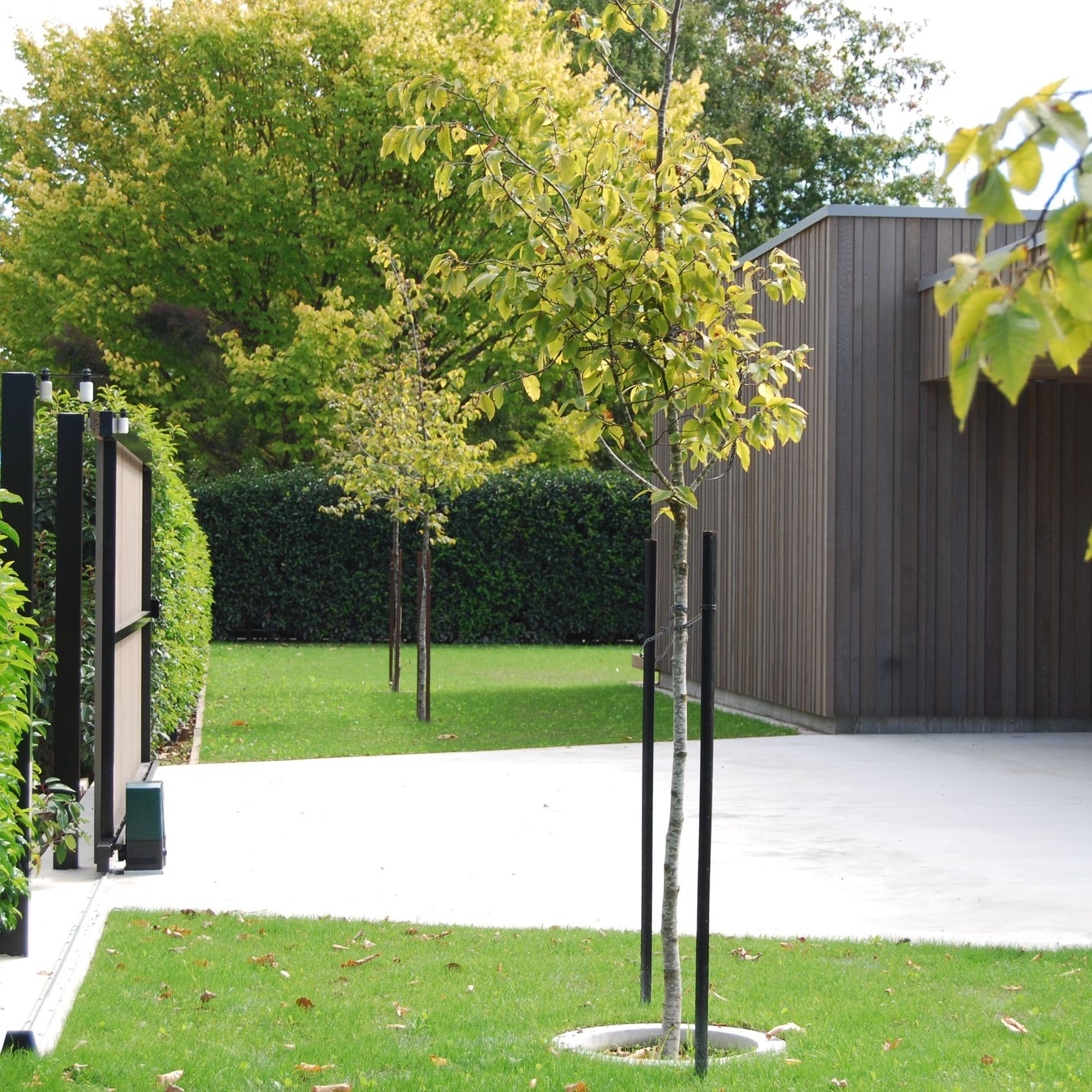 RK Vertical Weatherboards gallery detail image