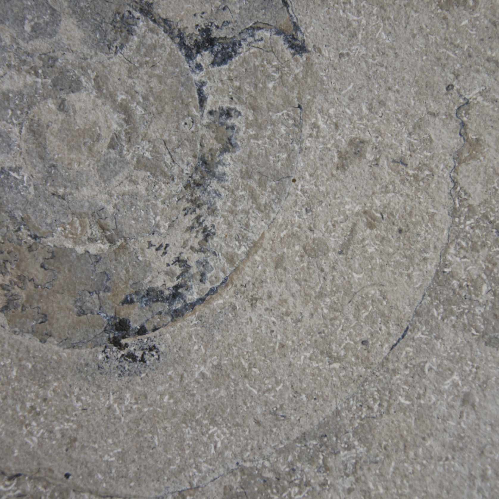 Jura Limestone gallery detail image