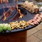 100/100 by Ofyr Outdoor Fire and Grill gallery detail image