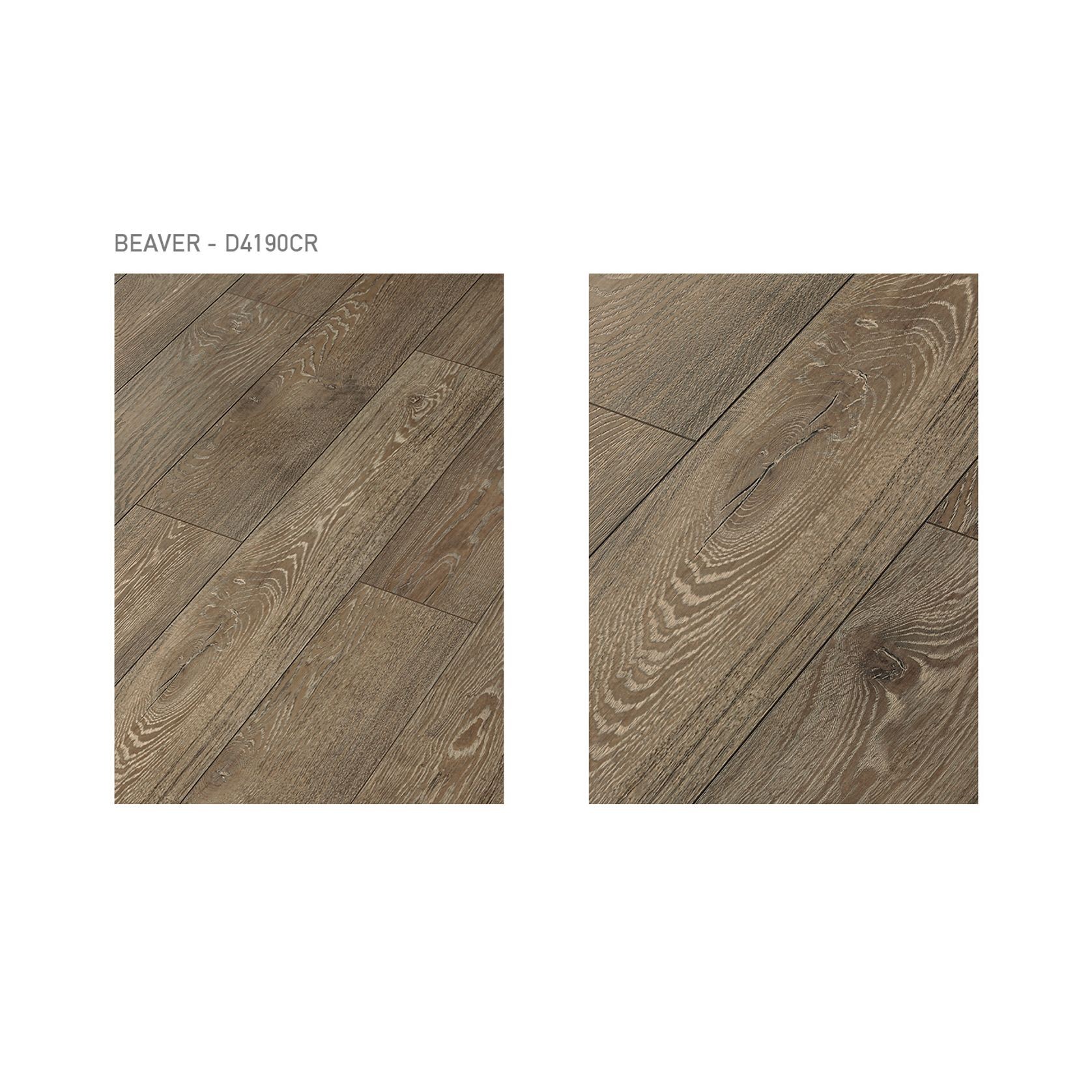 Swiss Krono - Grand Selection Oak - Beaver - Laminate gallery detail image