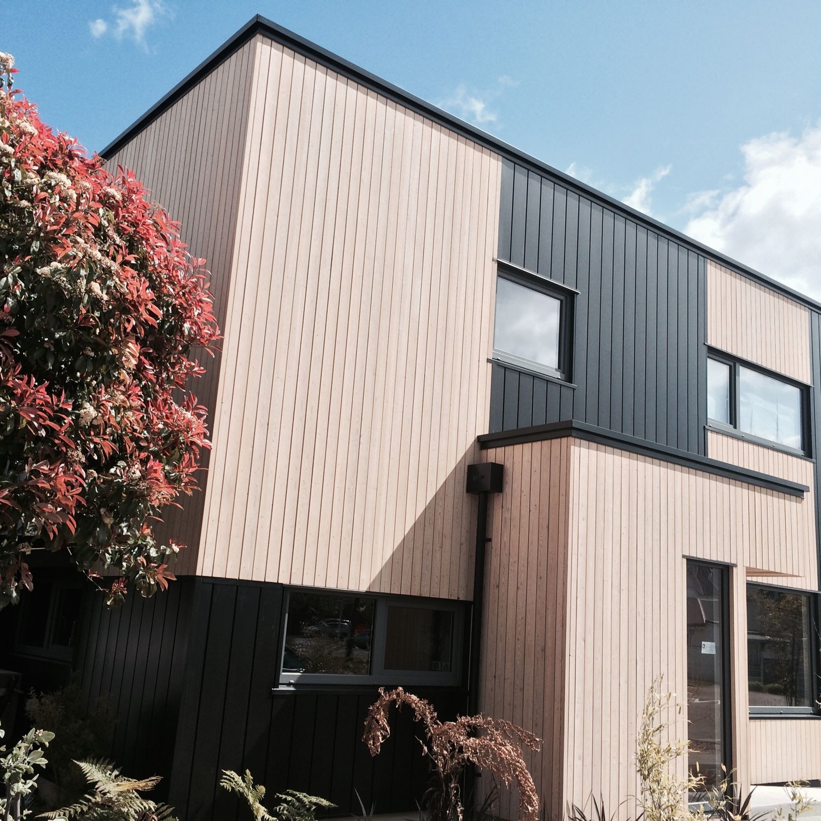 RK European Larch Cladding gallery detail image