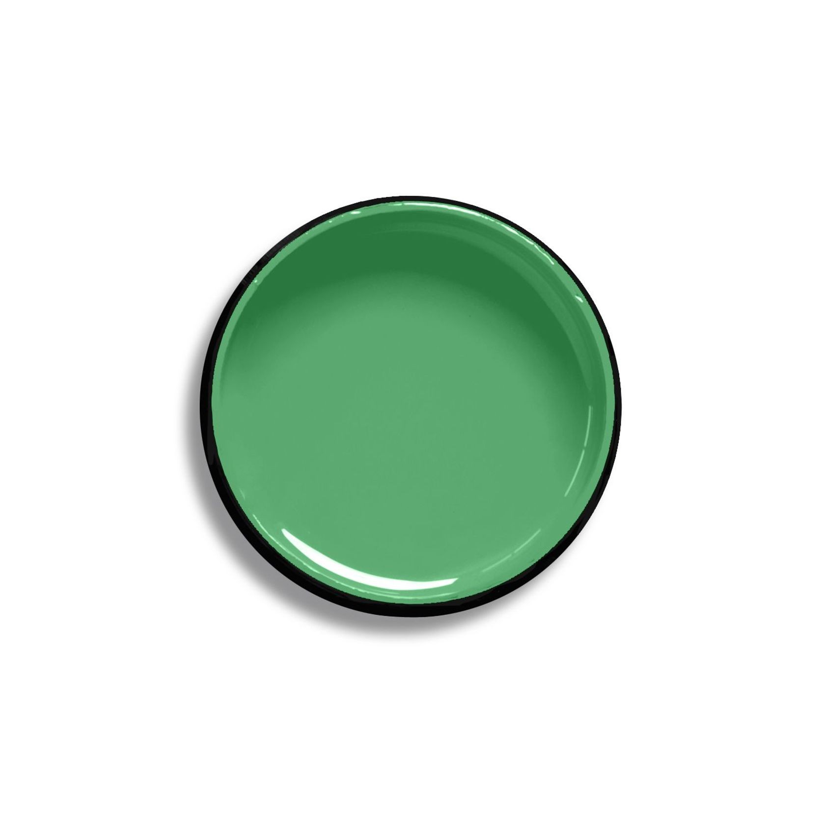 Resene Chateau Green gallery detail image