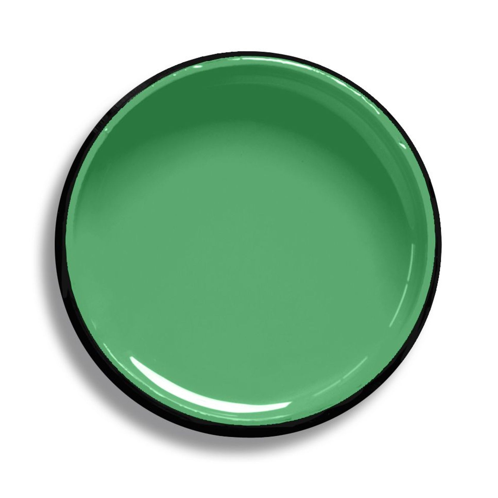 Resene Chateau Green gallery detail image