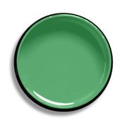 Resene Chateau Green gallery detail image