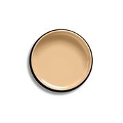 Resene Coyote gallery detail image