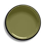 Resene Fiji Green gallery detail image