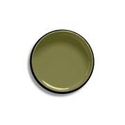 Resene Fiji Green gallery detail image