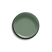 Resene Gondwana gallery detail image