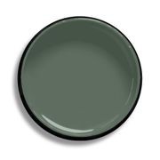 Resene Half Forest Green gallery detail image