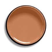 Resene Light Tan gallery detail image