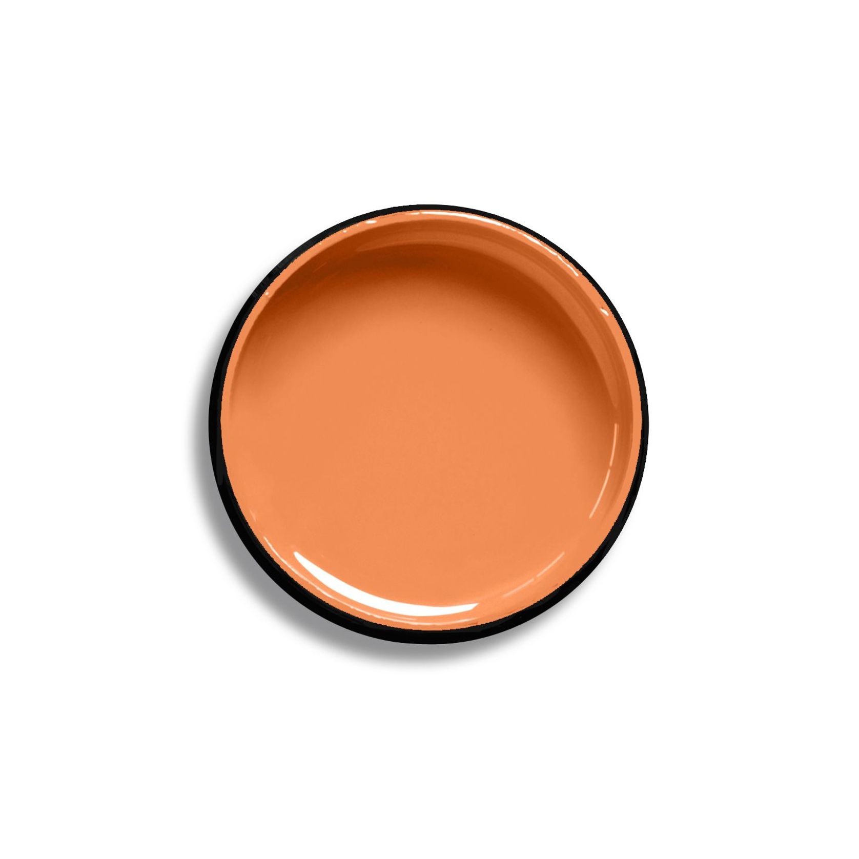 Resene Melon Orange gallery detail image