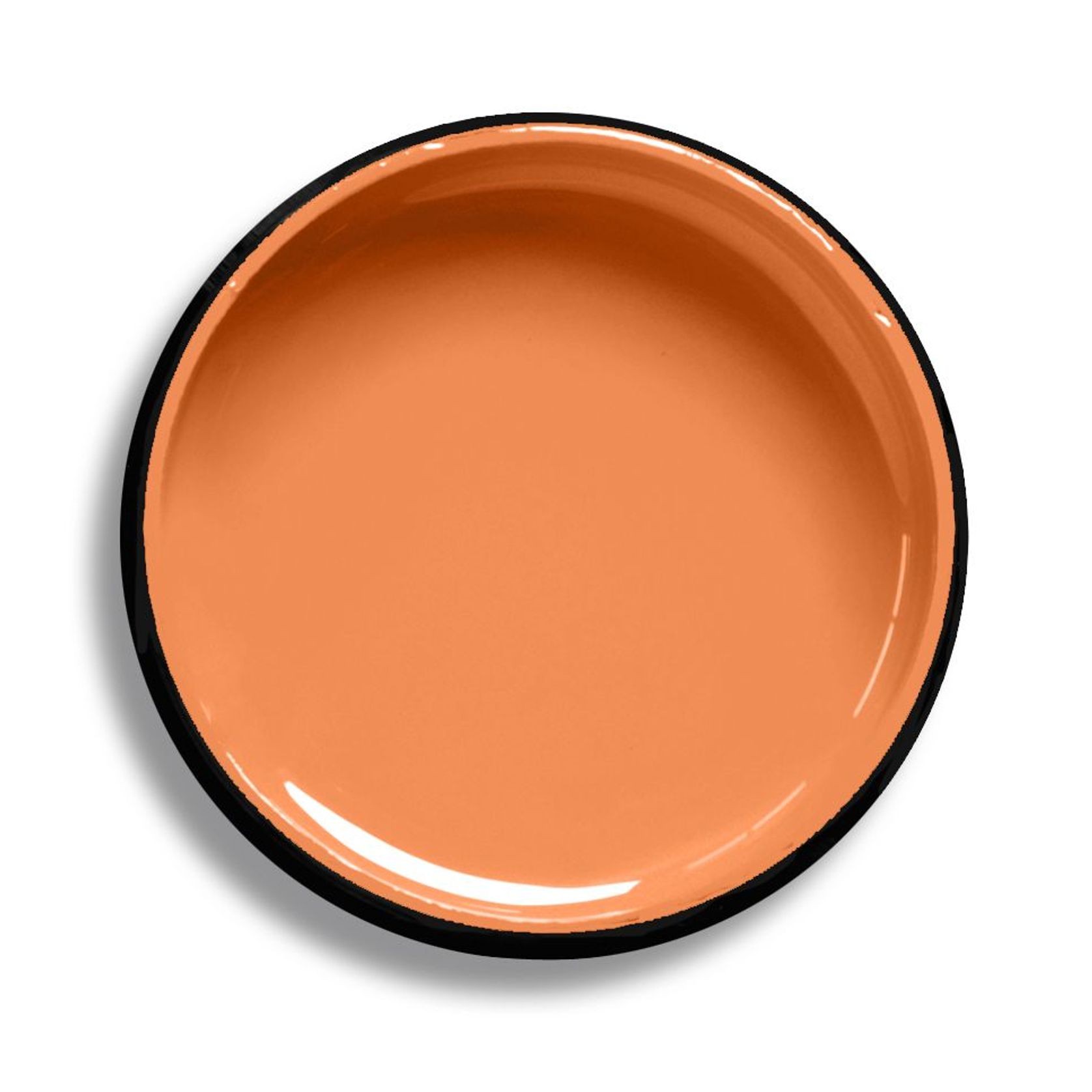 Resene Melon Orange gallery detail image