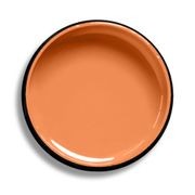 Resene Melon Orange gallery detail image