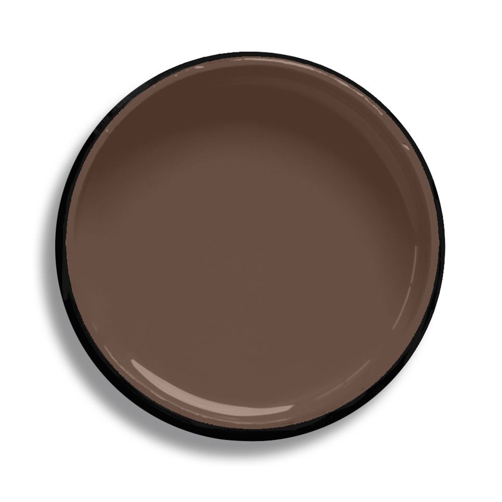 Resene Milk Chocolate gallery detail image