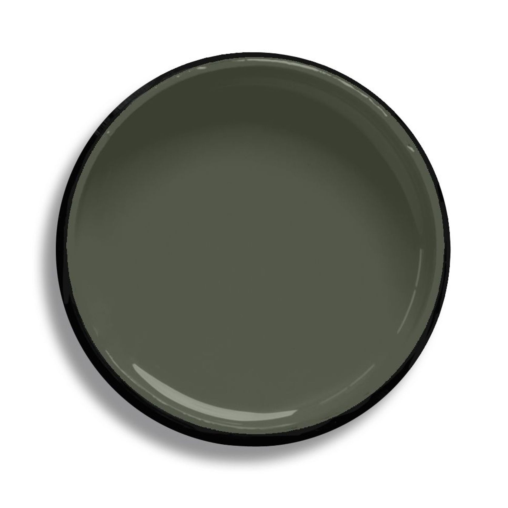 Resene Olive Green gallery detail image