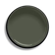 Resene Olive Green gallery detail image