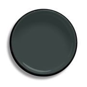 Resene Racing Green gallery detail image