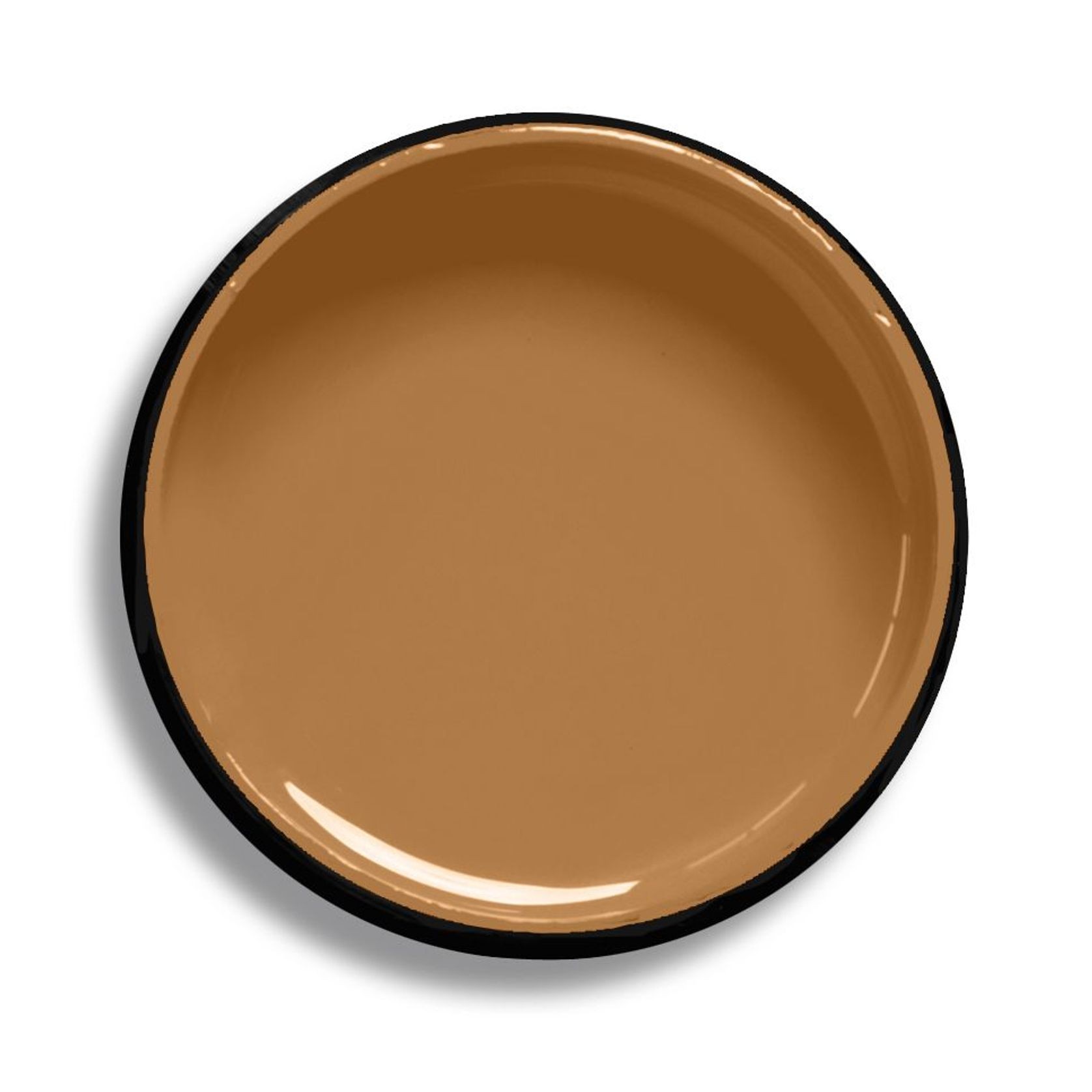 Resene Swiss Caramel gallery detail image