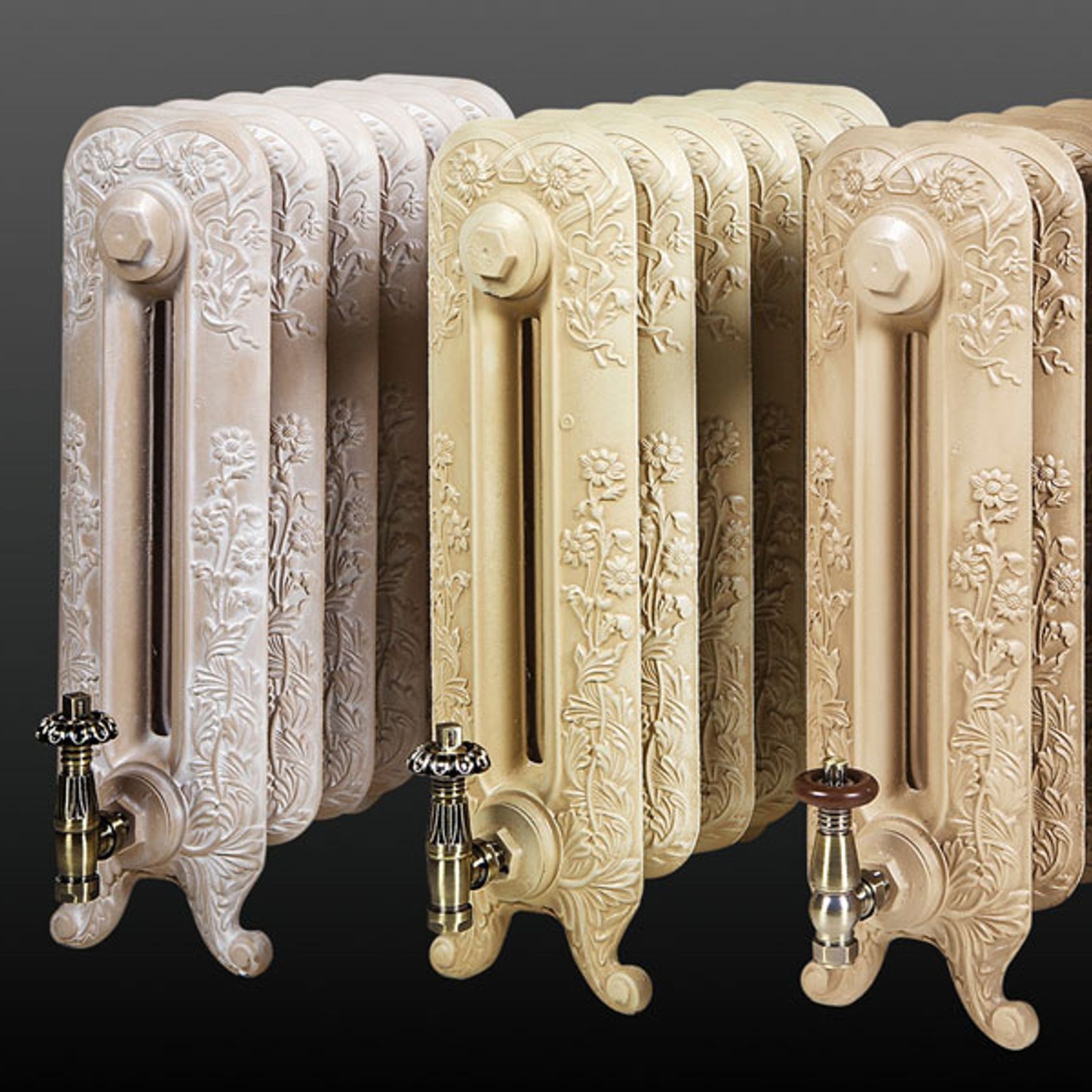 Paladin Cast Iron Radiators Custom Finish Choices gallery detail image