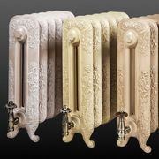 Paladin Cast Iron Radiators Custom Finish Choices gallery detail image