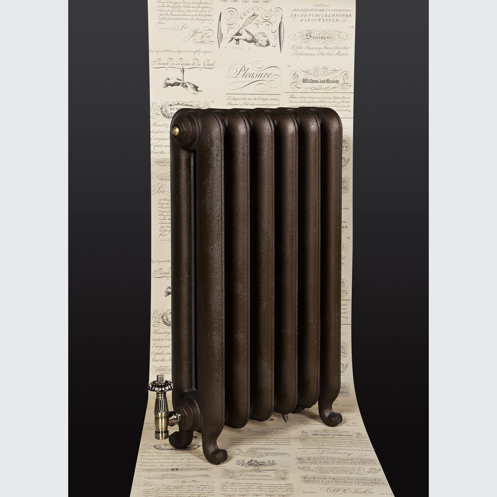 Bartholomew Cast Iron Radiator Range by Paladin gallery detail image