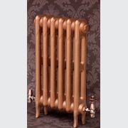 Paladin Cast Iron Radiators Custom Finish Choices gallery detail image