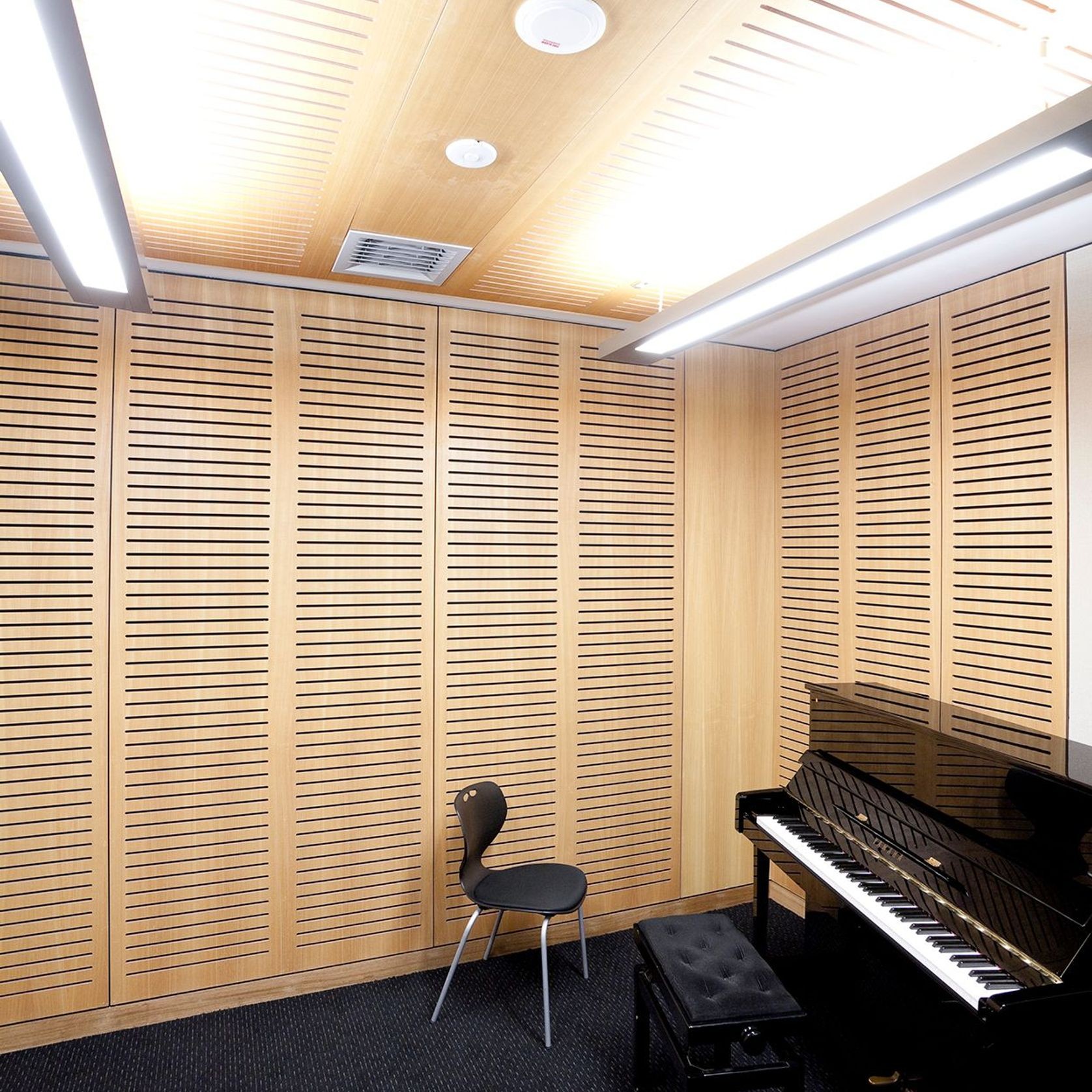 Slotted Acoustic Perforations - Big River Panels gallery detail image