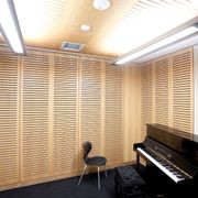 Slotted Acoustic Perforations - Big River Panels gallery detail image