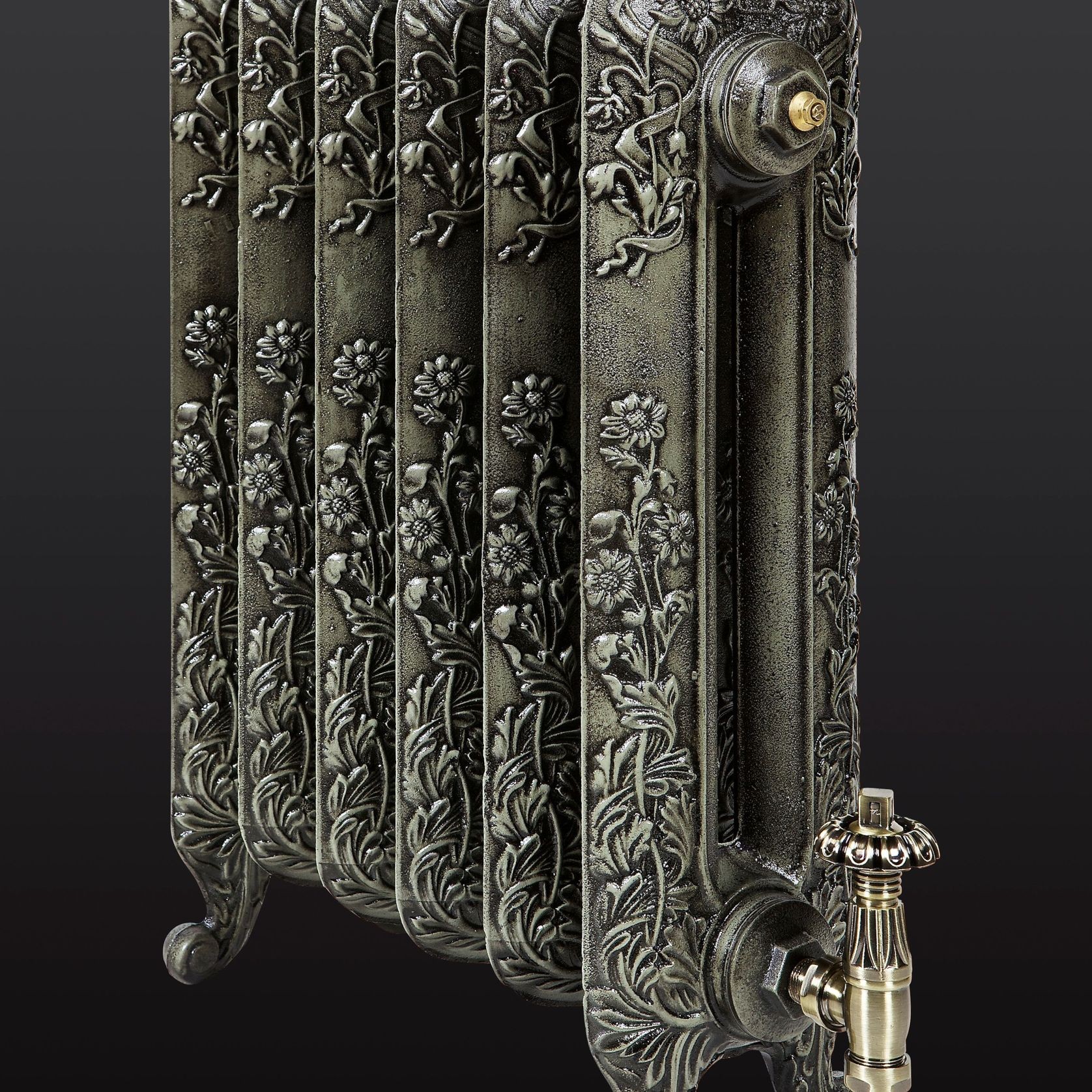 Paladin Cast Iron Radiators Custom Finish Choices gallery detail image