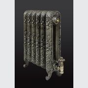 Paladin Cast Iron Radiators Custom Finish Choices gallery detail image